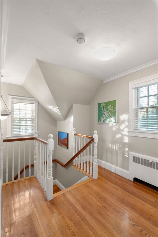 55 Evelyn Rd