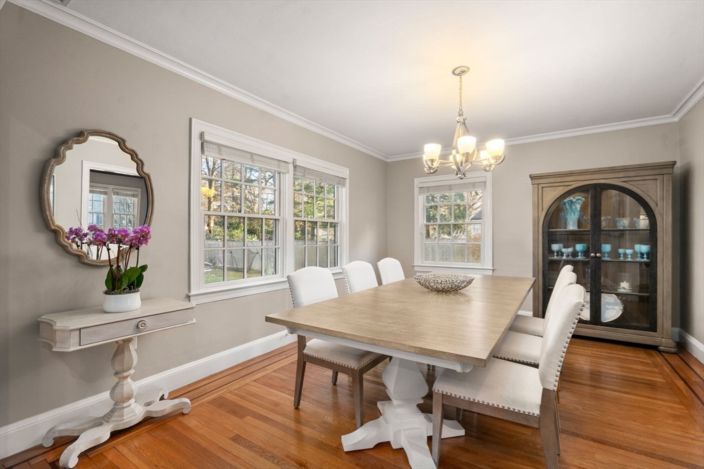 55 Evelyn Rd