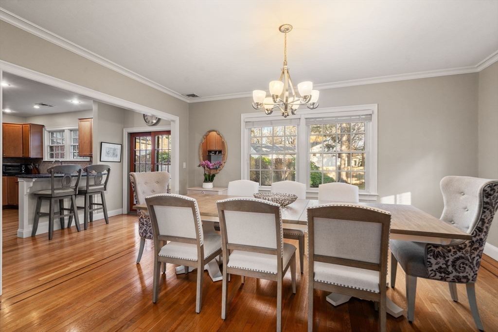 55 Evelyn Rd
