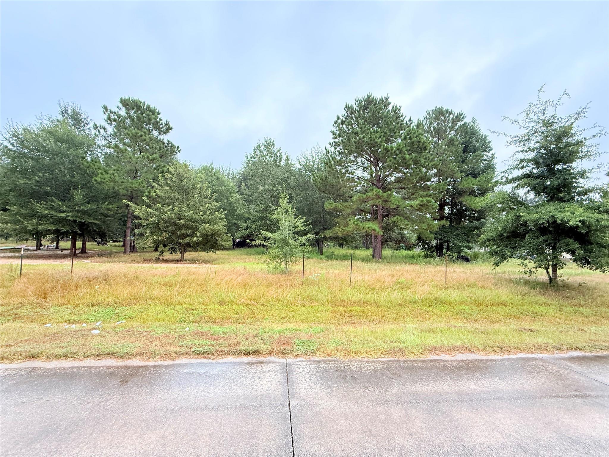 41 County Road 3410