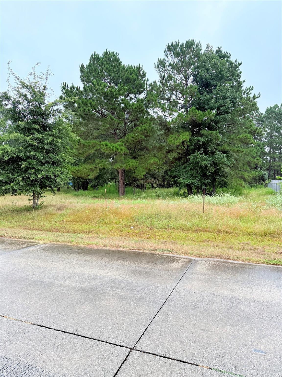 41 County Road 3410