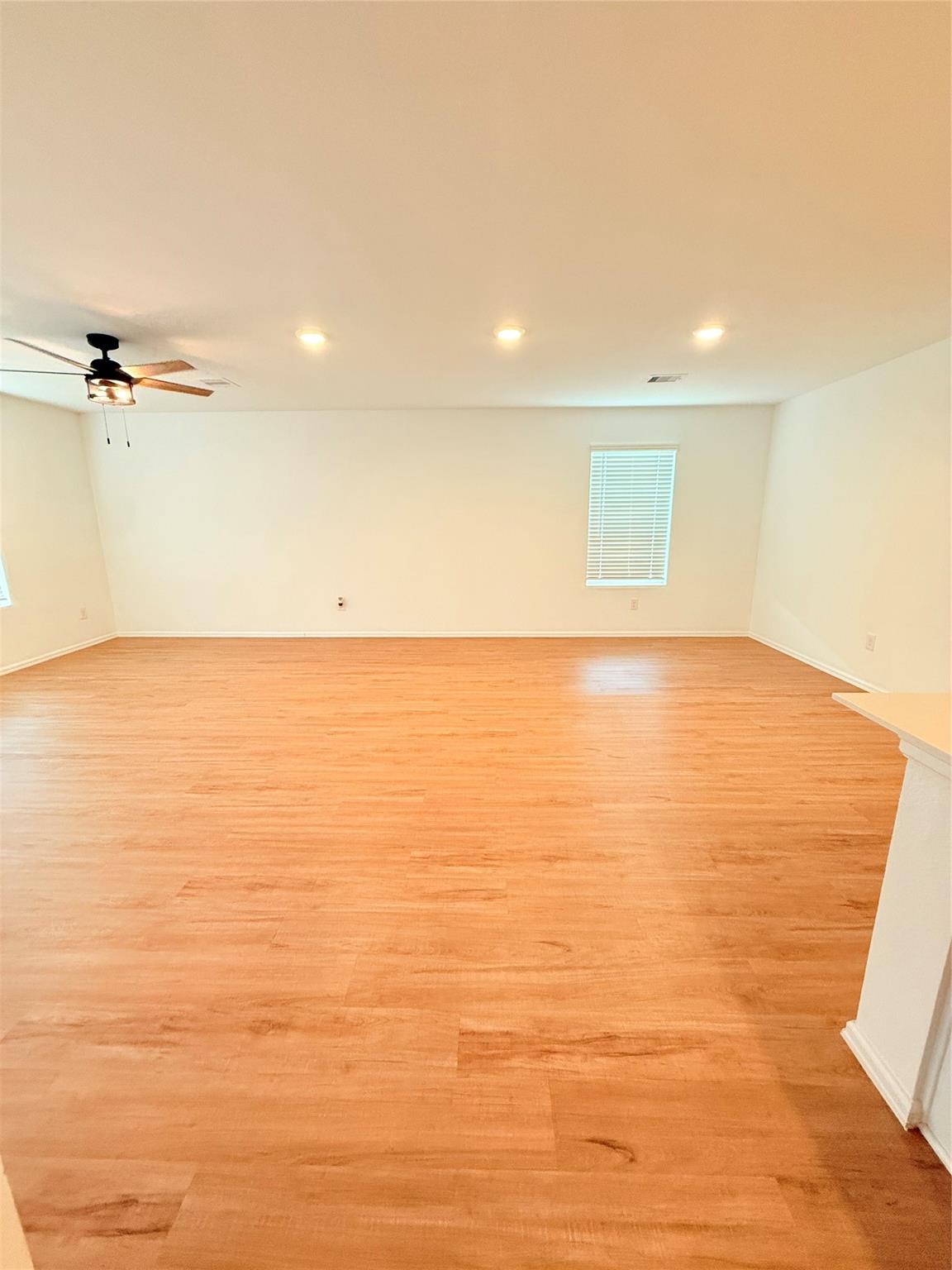 702 Pleasant Point Drive