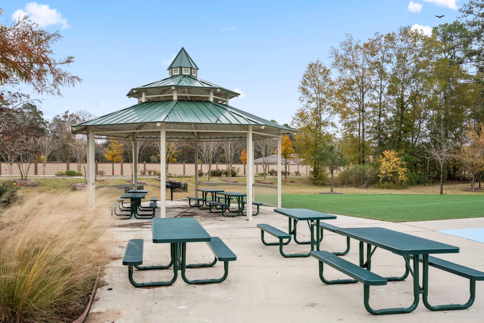 25461 Black Spruce Drive