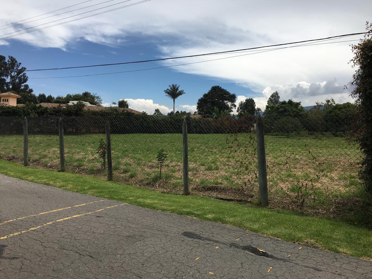 Conjunto Rincon De San Pedro Guaymaral