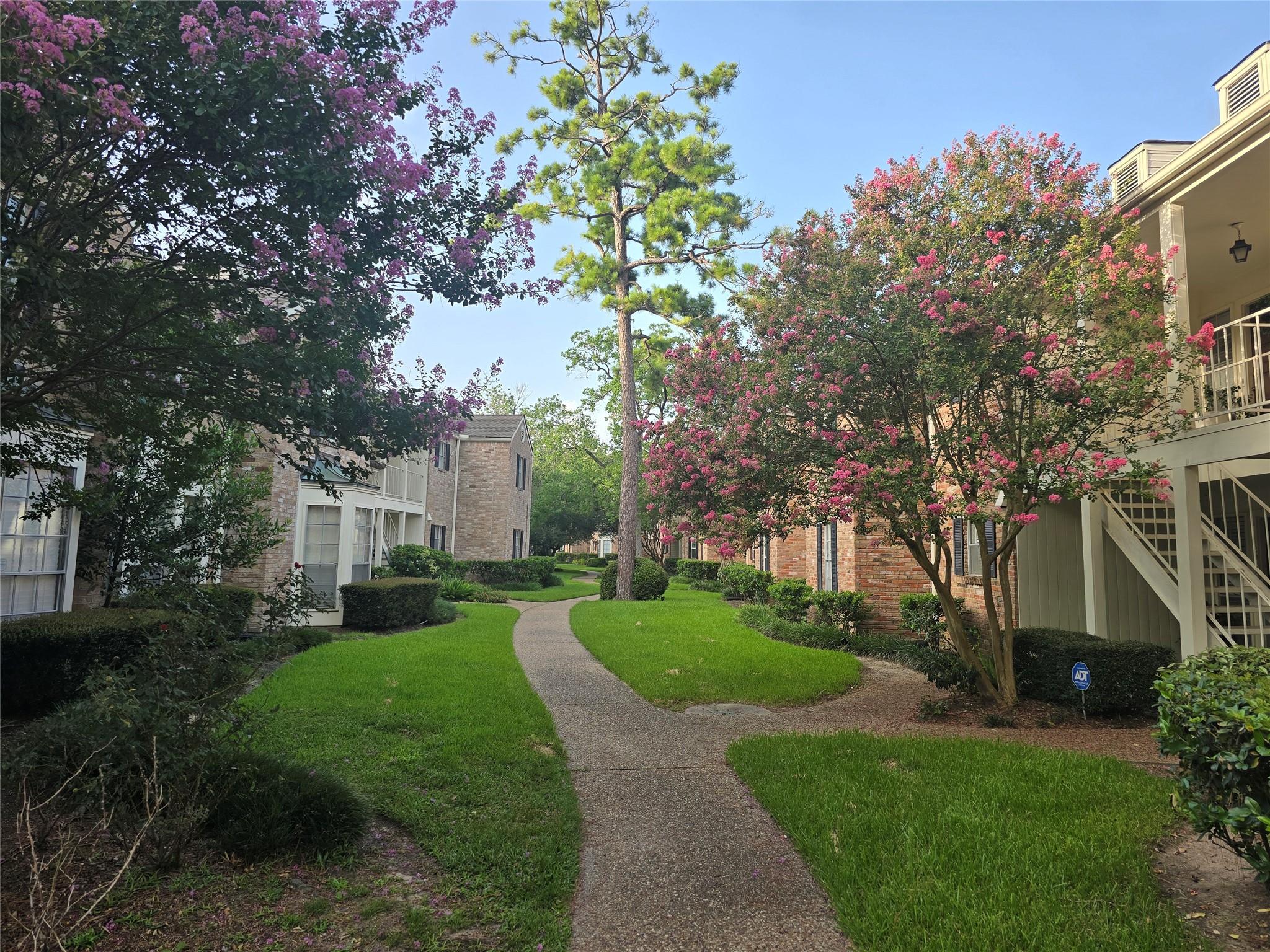 12968 Trail Hollow Drive # 2968