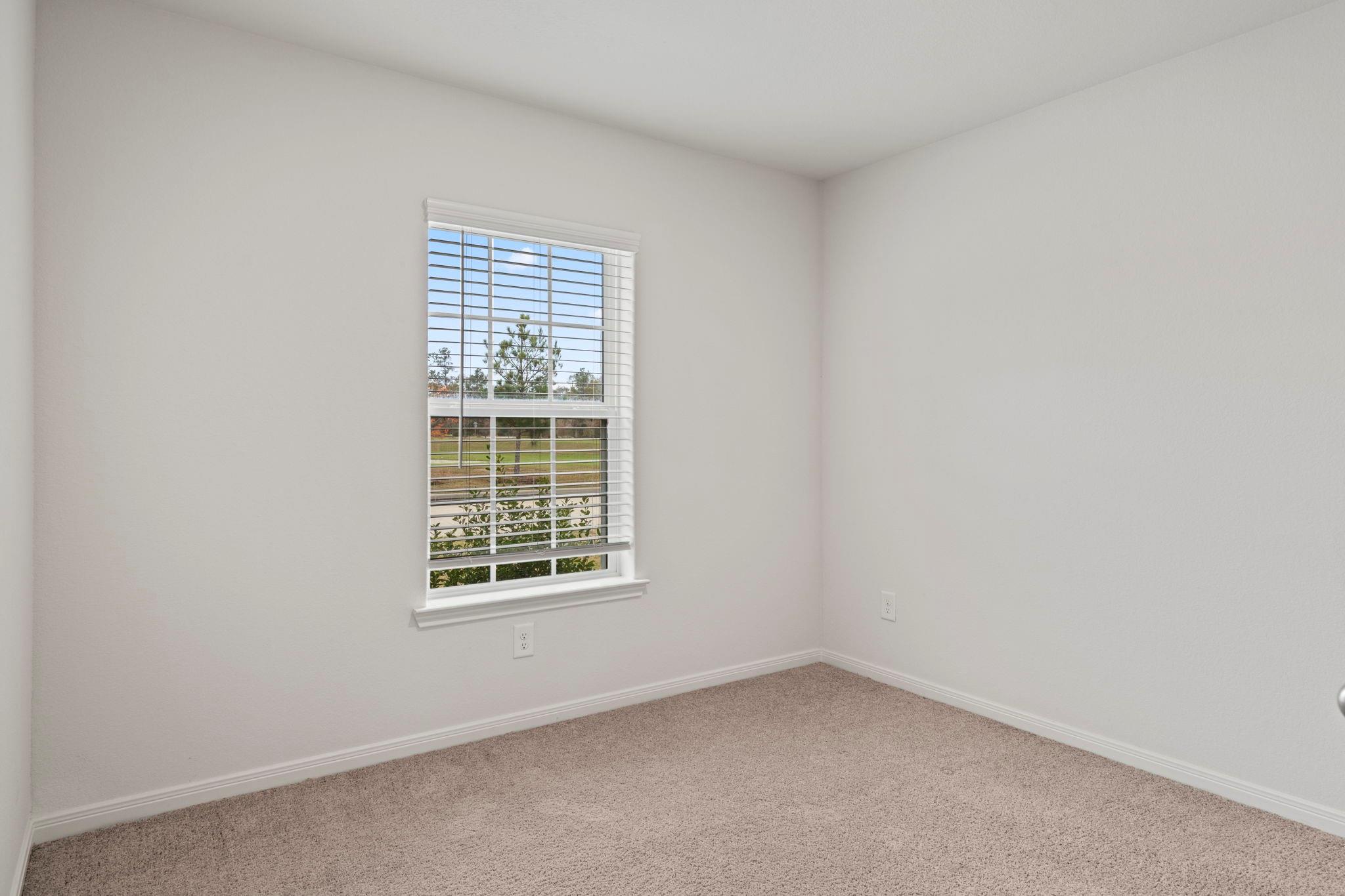 25461 Black Spruce Drive