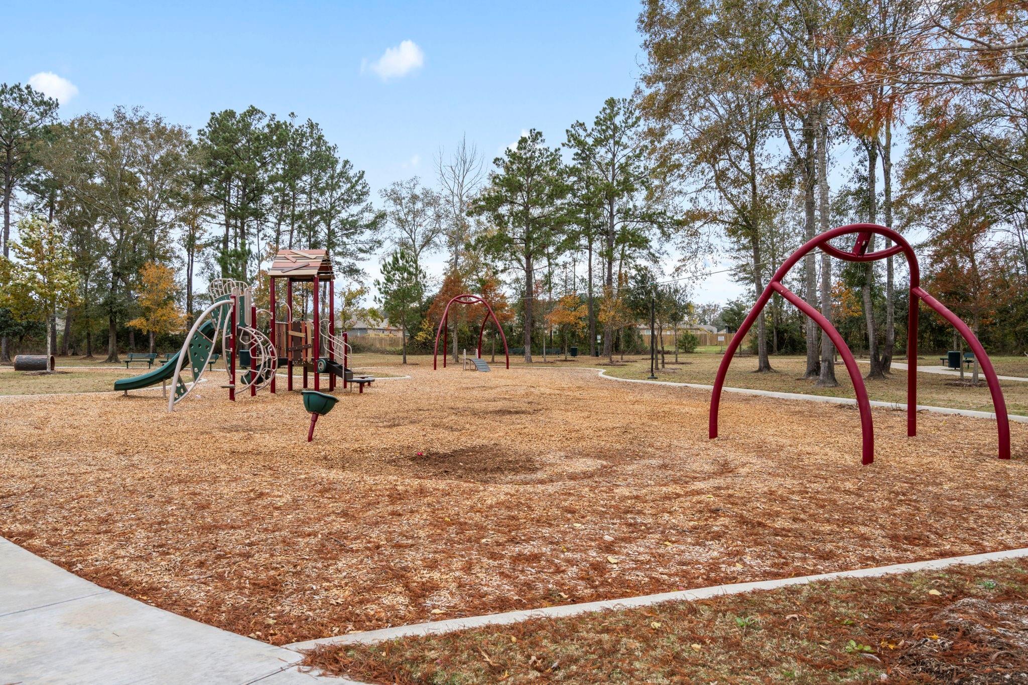 25461 Black Spruce Drive