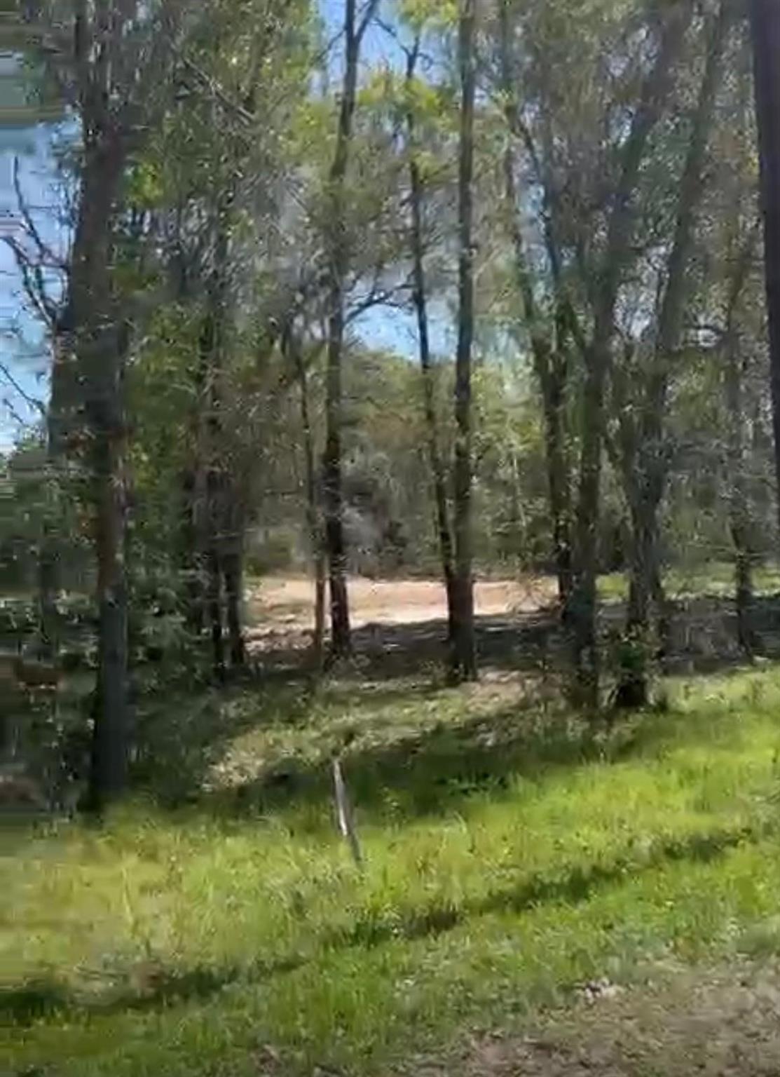 24961 Leitrim Street Street