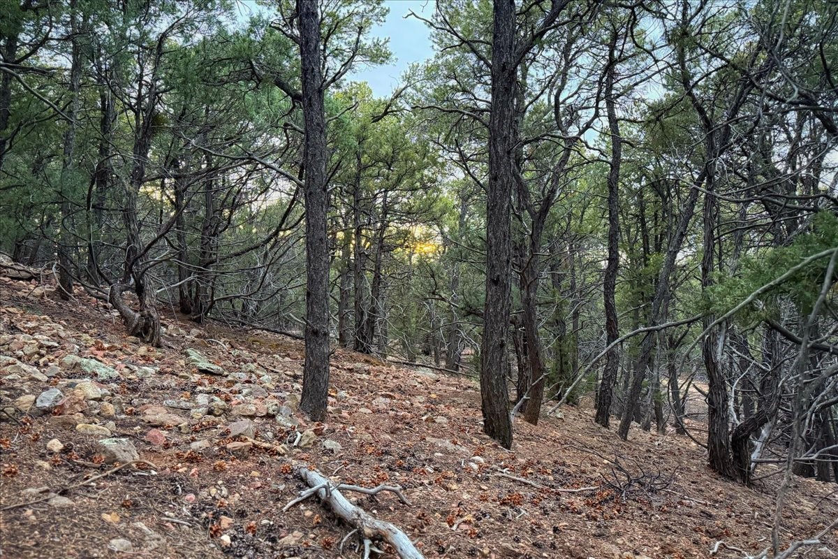 3245 Paseo Del Monte