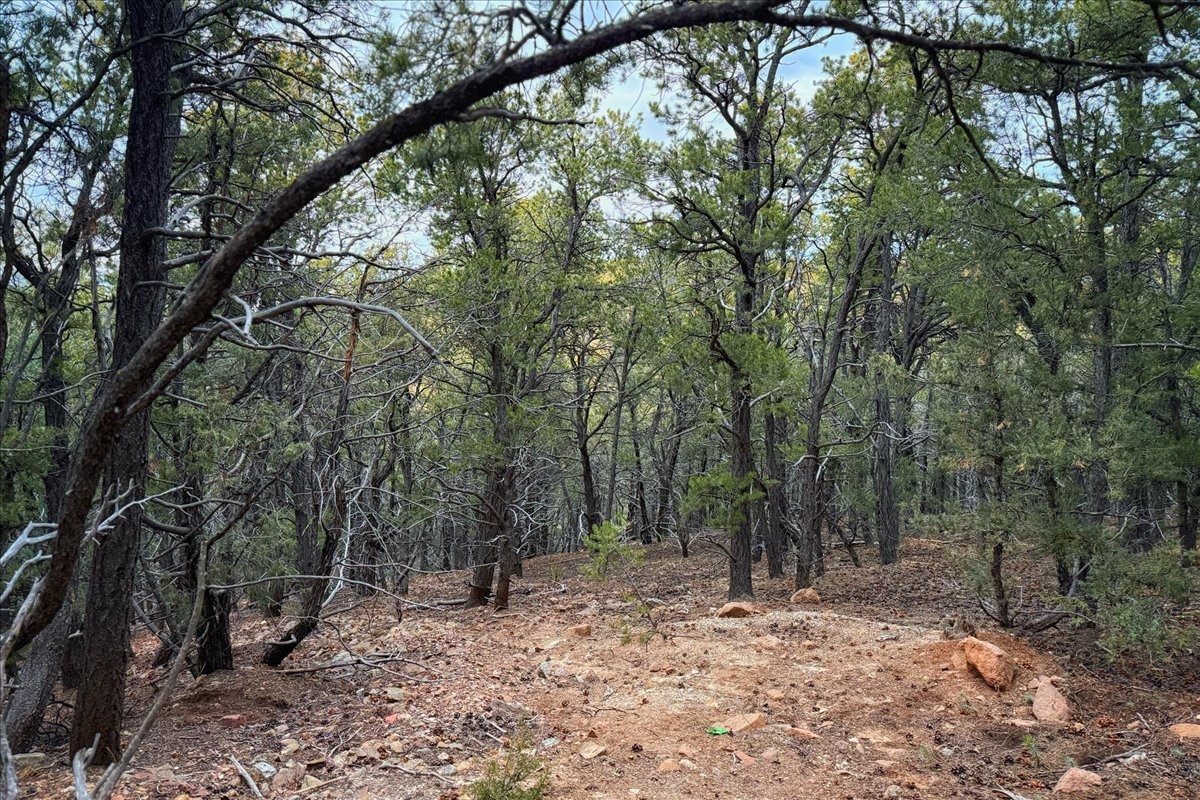 3245 Paseo Del Monte