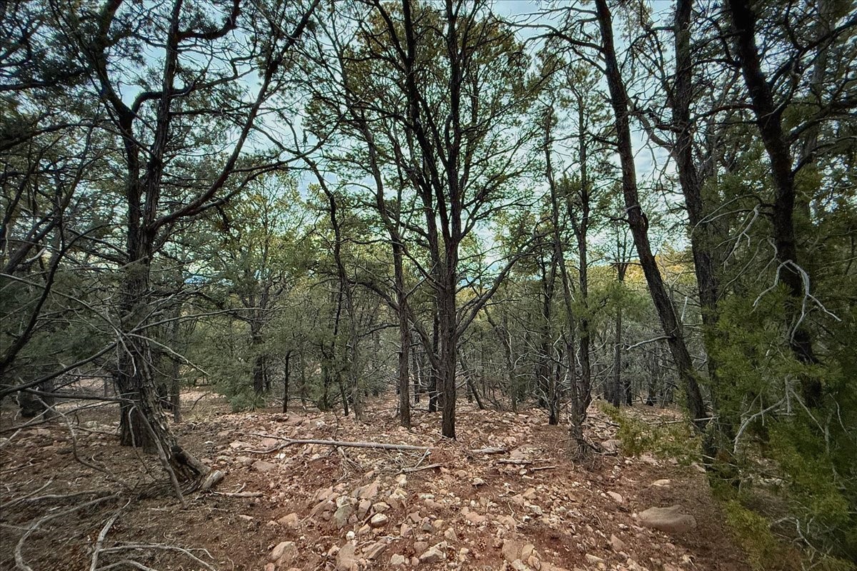 3245 Paseo Del Monte