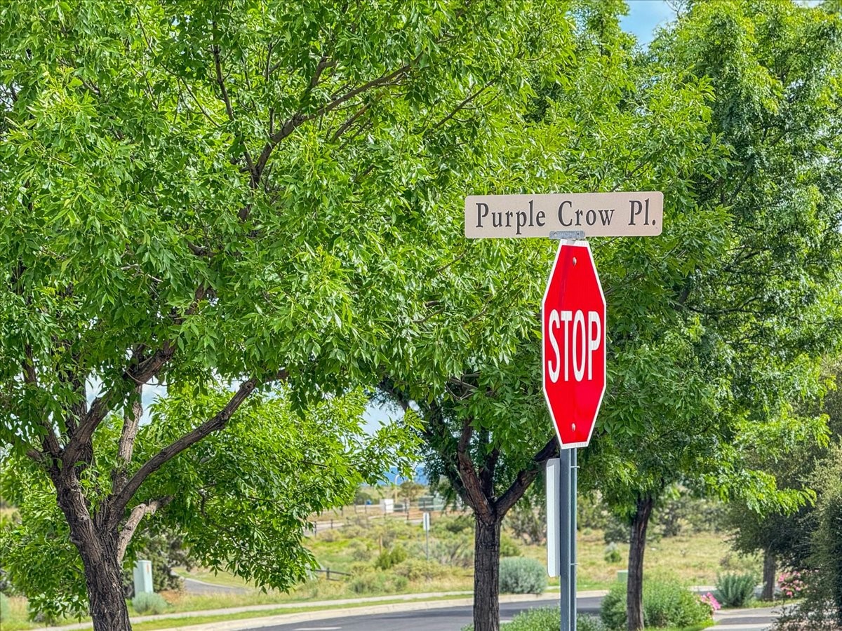 4 Purple Crow Place