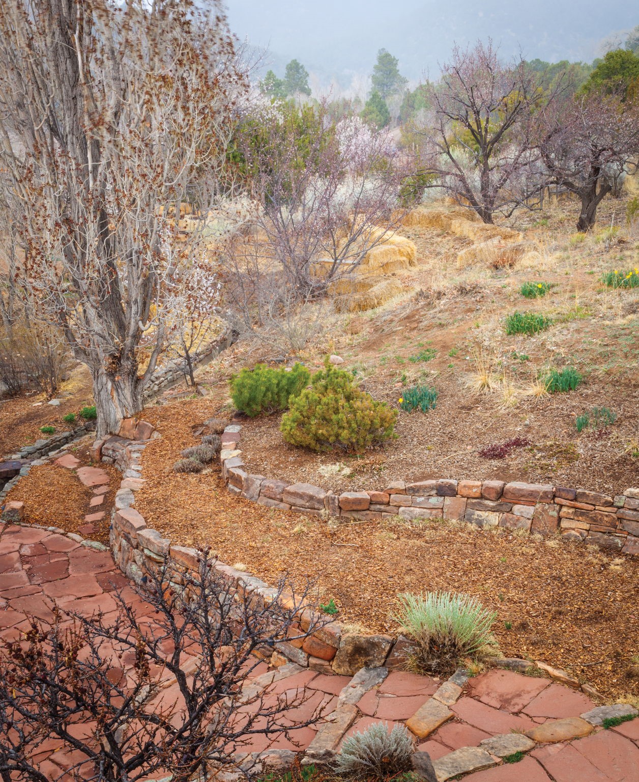 1692 Upper Canyon