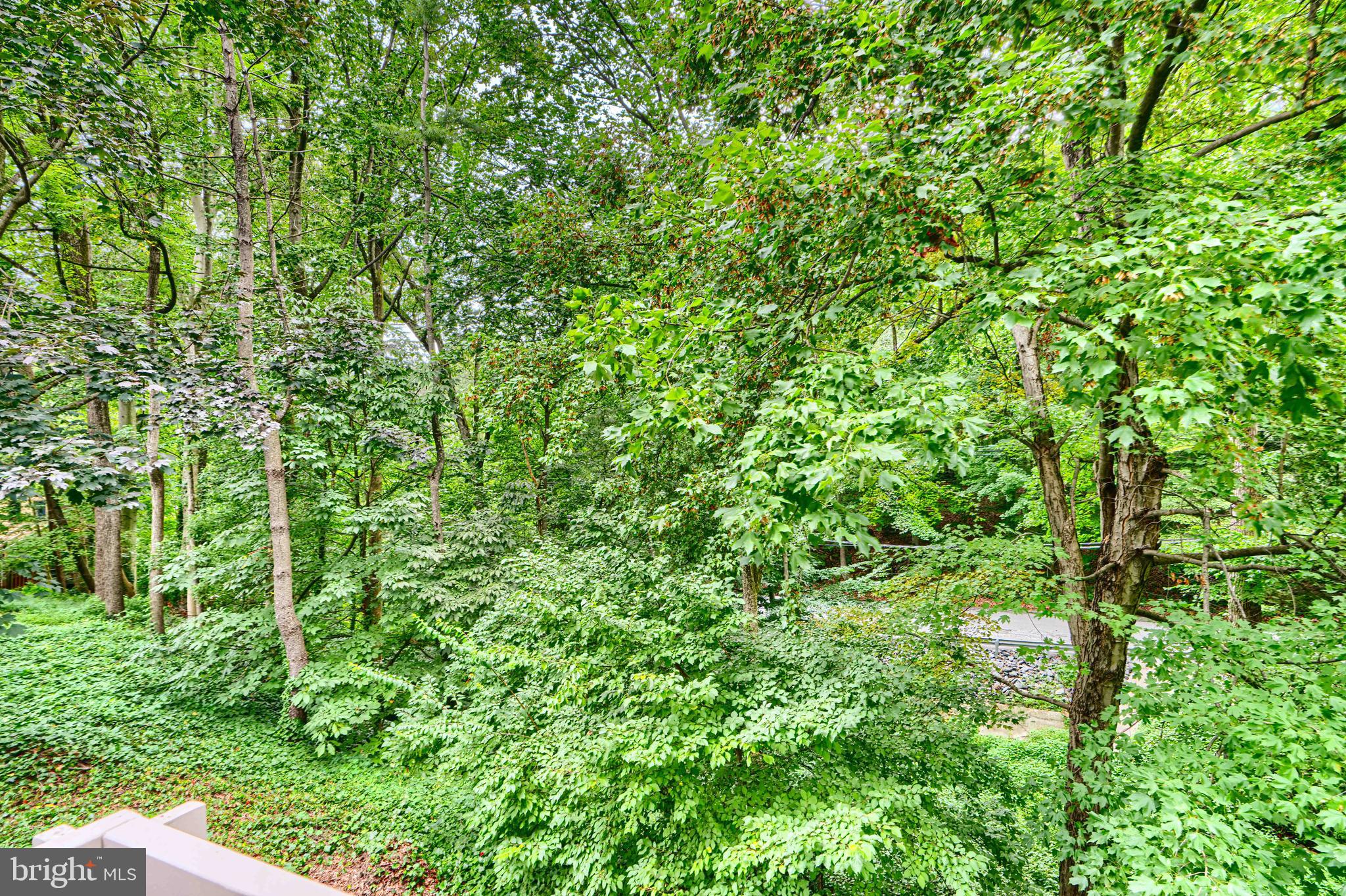 16 HAMPSHIRE WOODS COURT