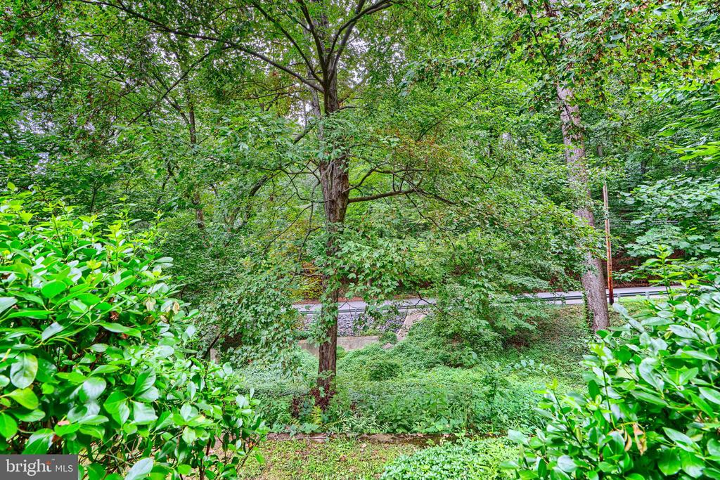 16 HAMPSHIRE WOODS COURT
