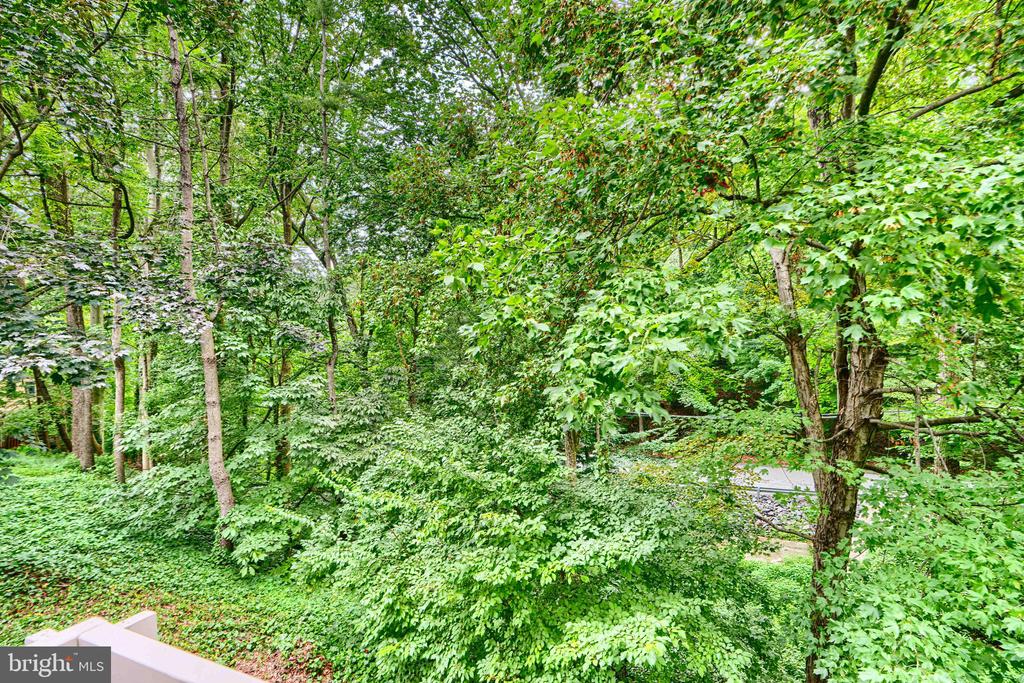 16 HAMPSHIRE WOODS COURT