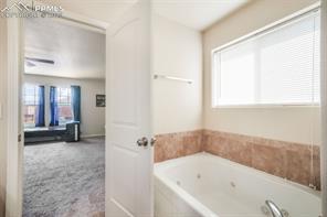 3668 Wild Daisy Drive