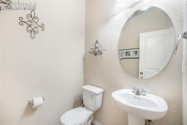 3668 Wild Daisy Drive