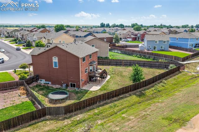 3668 Wild Daisy Drive