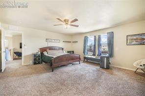 3668 Wild Daisy Drive