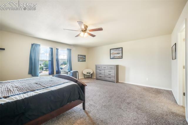 3668 Wild Daisy Drive