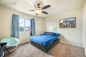 3668 Wild Daisy Drive