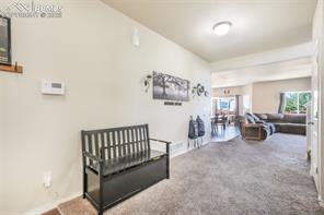 3668 Wild Daisy Drive