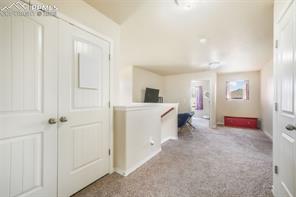 3668 Wild Daisy Drive