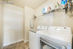 3668 Wild Daisy Drive