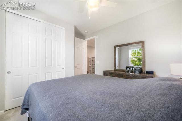 182 Vista Cliff Circle