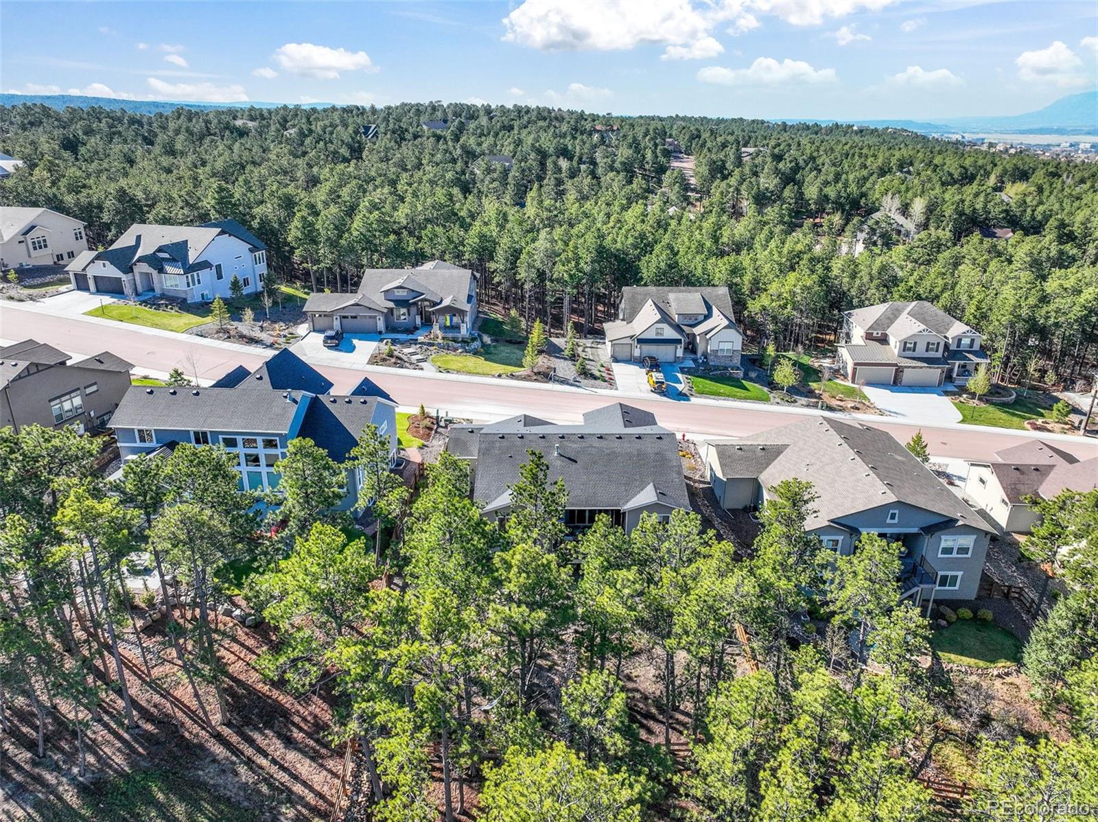 1004 Tree Bark Terrace