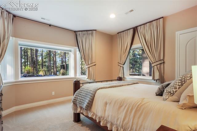 16092 Waving Branch Way