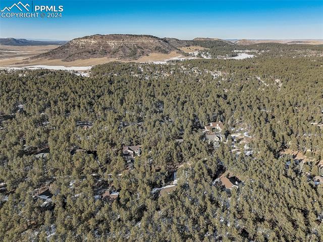 1062 Golden Pine Lane