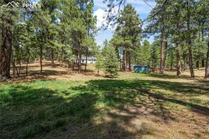 15600 El Dorado Way