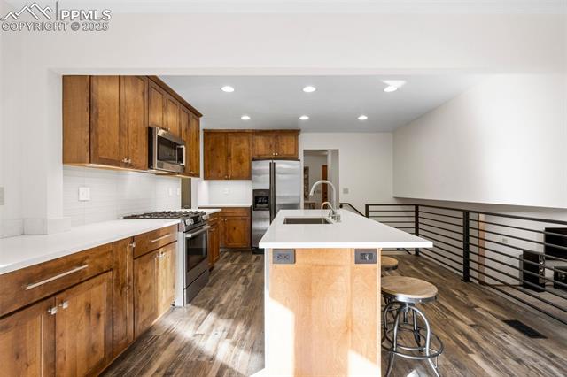 1165 Big Valley Drive