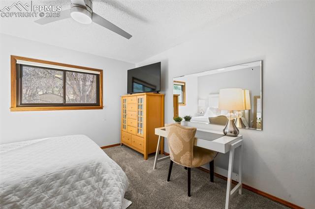 1165 Big Valley Drive