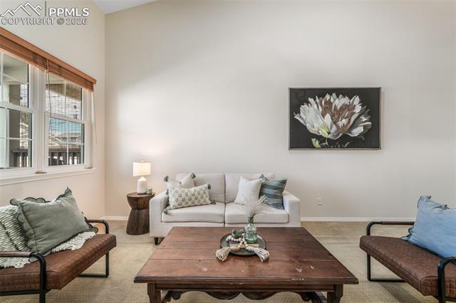 1223 Villa Grove