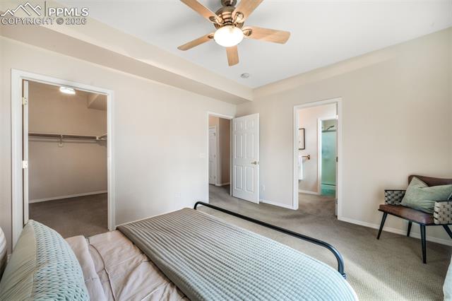 1223 Villa Grove