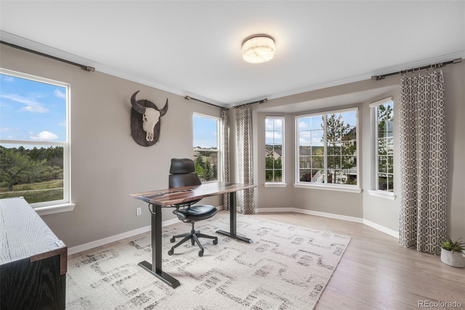 556 Coyote Willow Drive