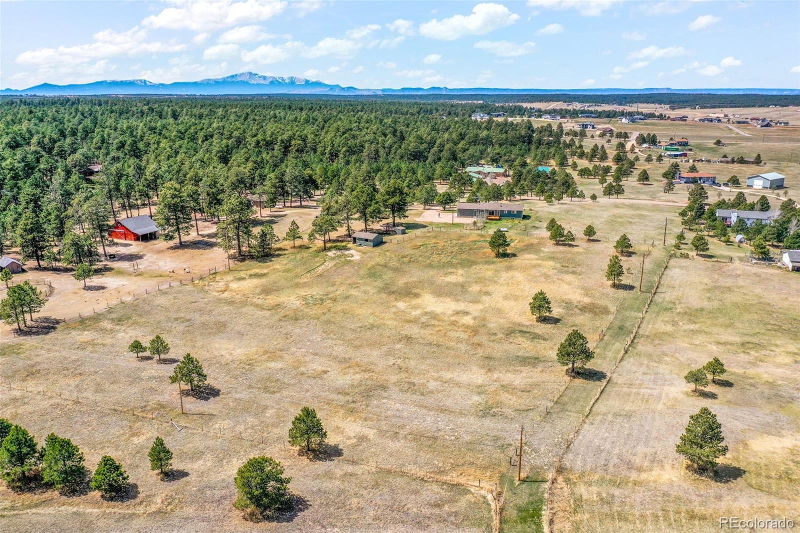 16735 High Tree Drive