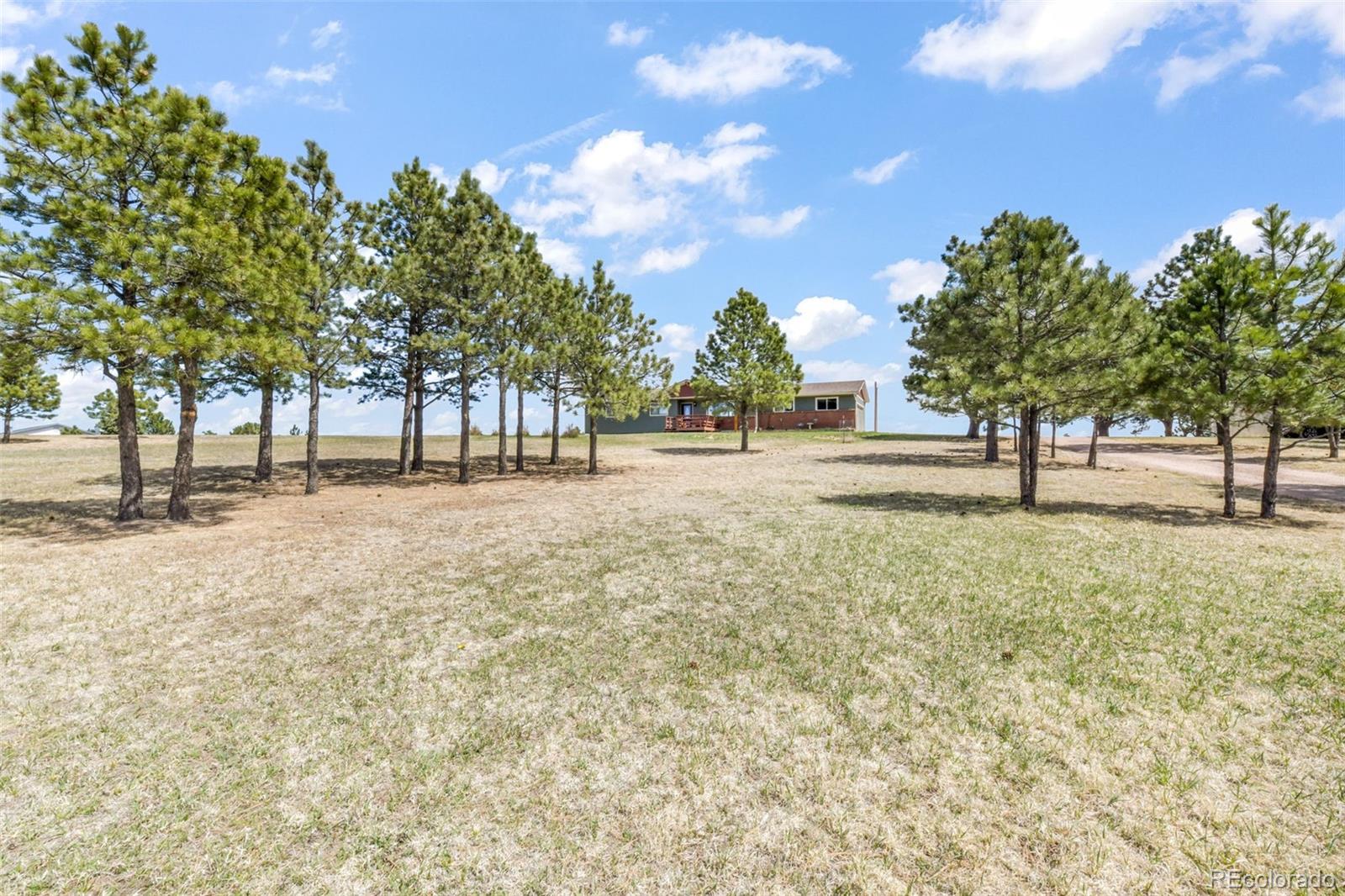 16735 High Tree Drive