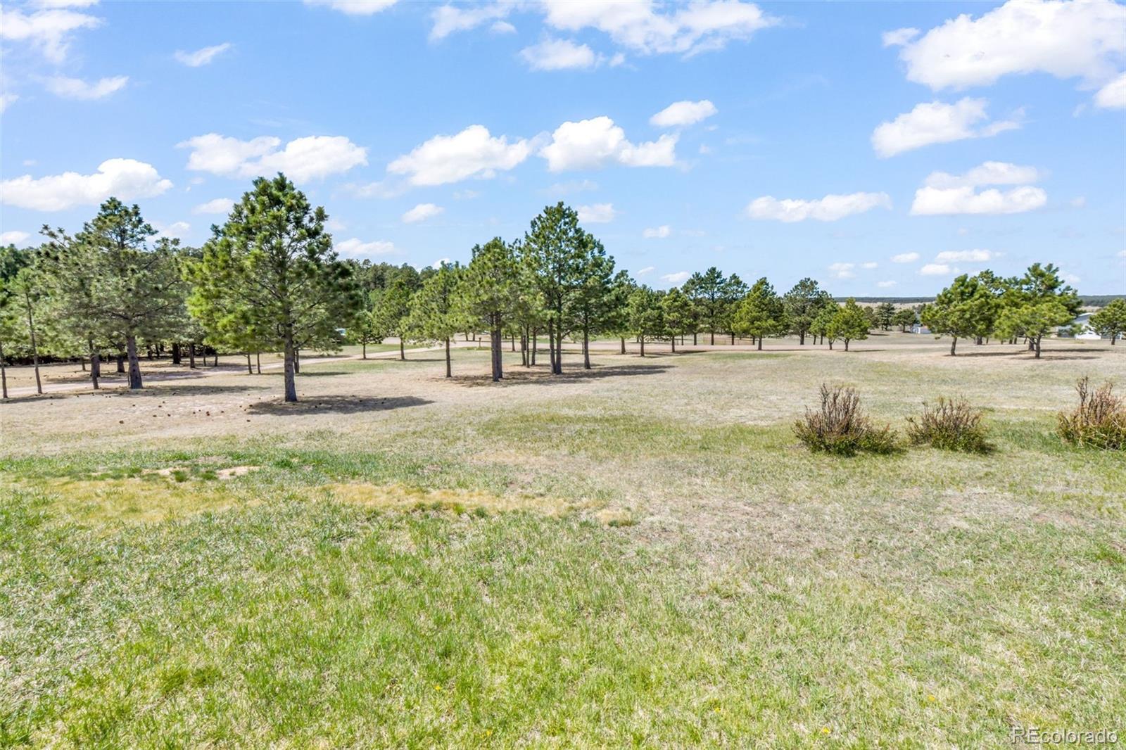 16735 High Tree Drive