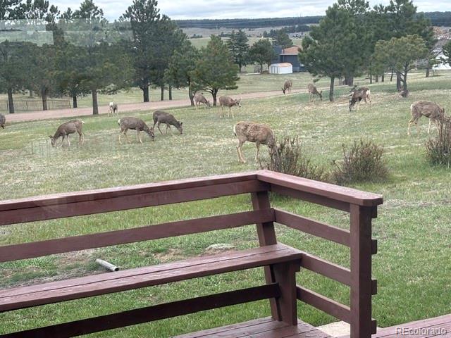 16735 High Tree Drive