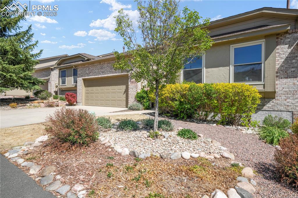 2859 Tenderfoot Hill Street