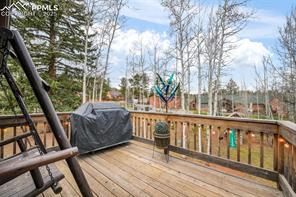 250 Bridle Drive