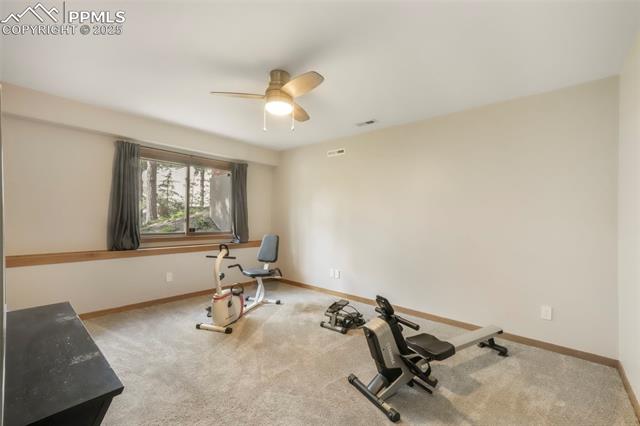 19165 Golden Arrow Circle