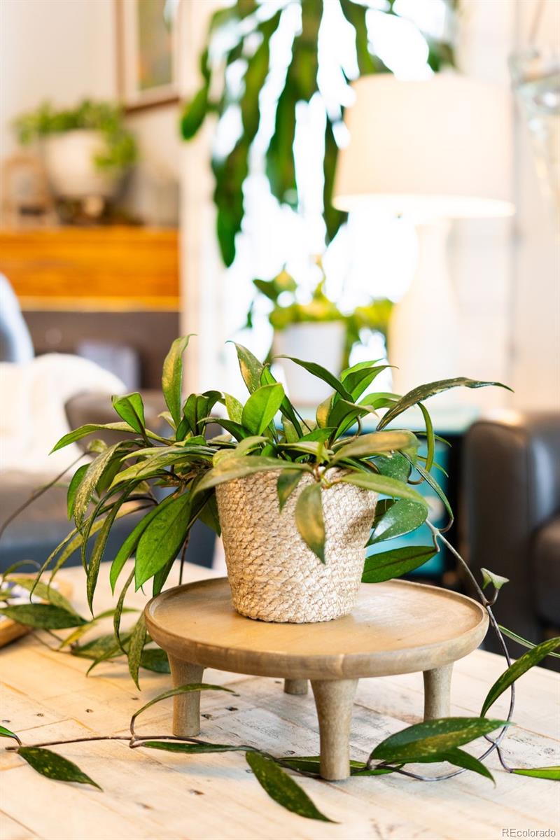 6150 Fall River Drive