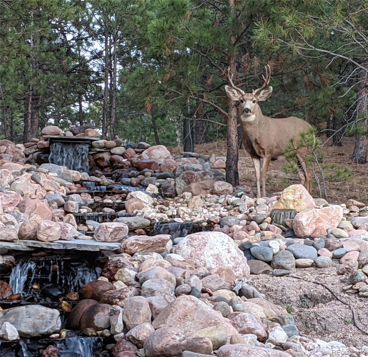 17045 Viscount Court