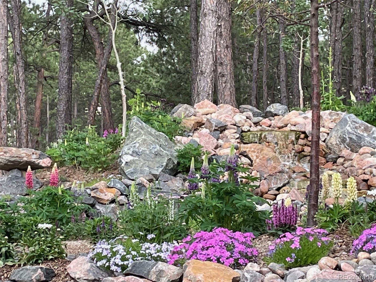 17725 Martingale Road