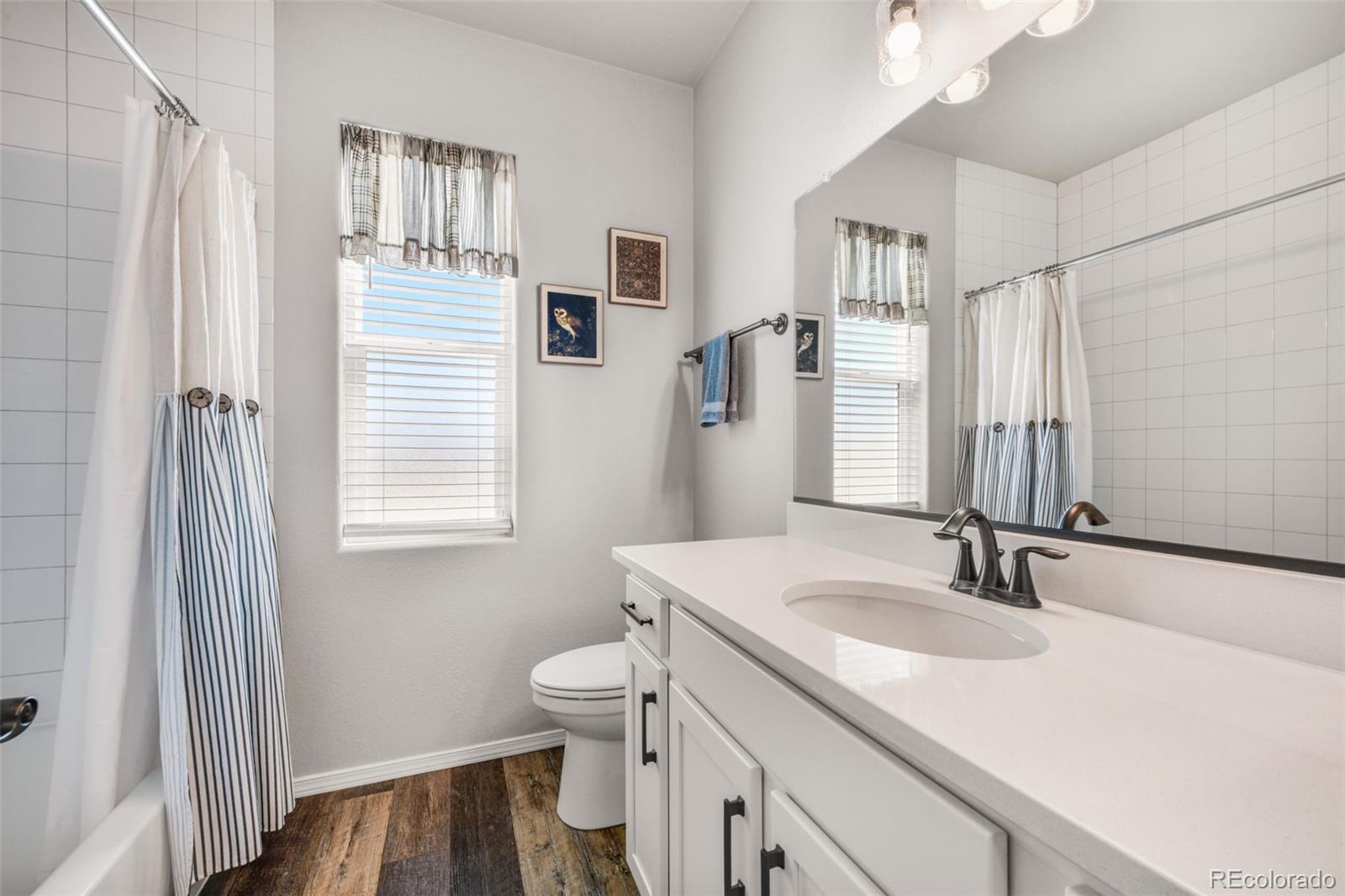 11211 Palmer Peak Place